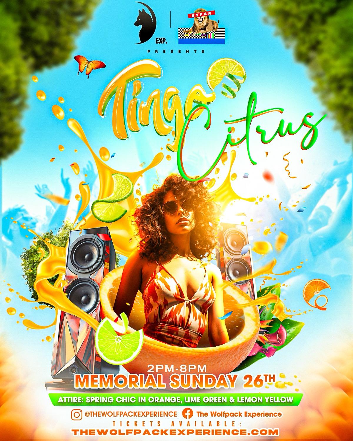 Tingo Citrus - Wolf Memorial Weekend Event 2
