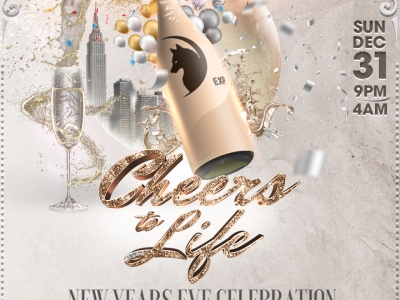 Cheers to Life: The Ultra Premium New Year's Eve Celebration